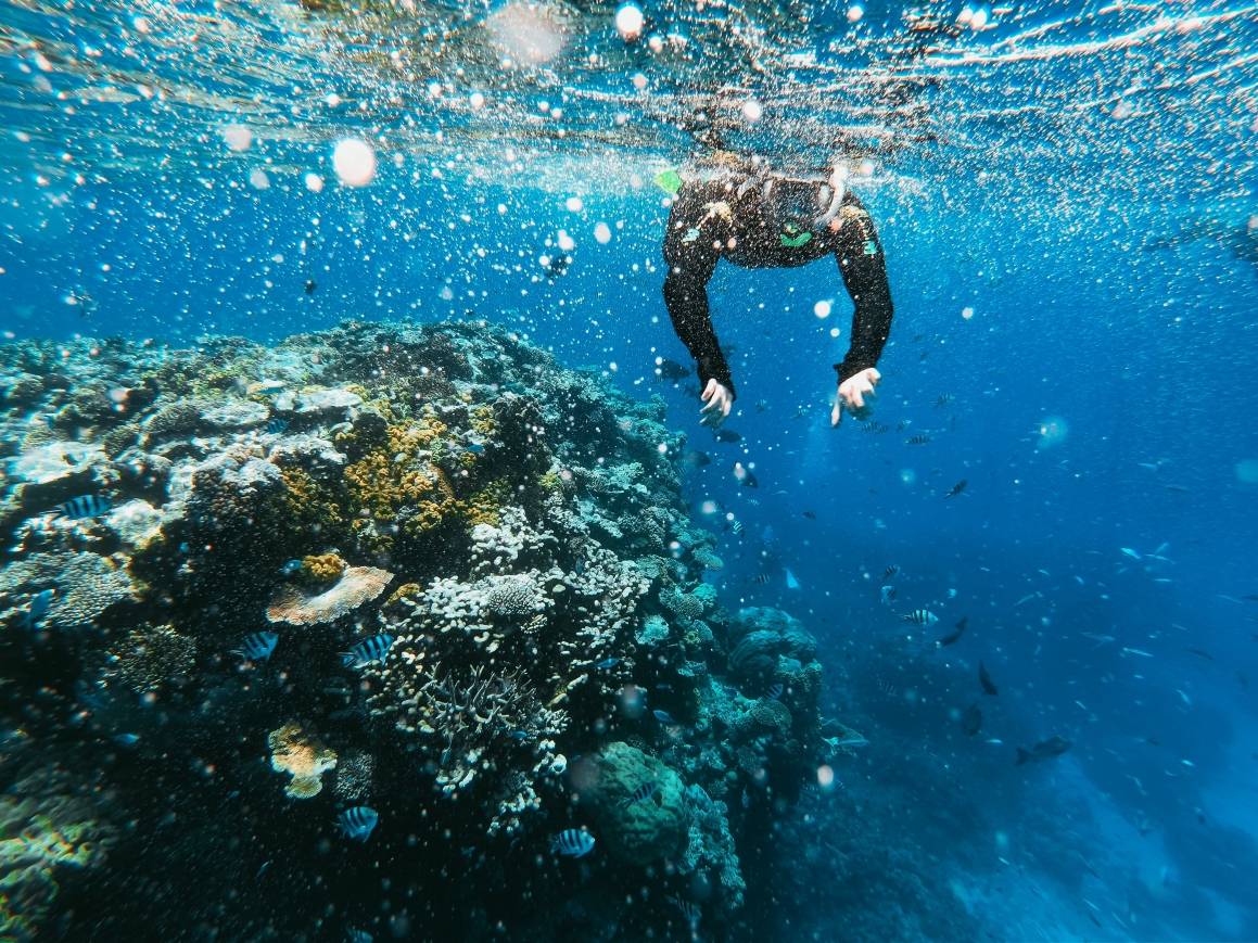 Great Barrier Reef gir elevene et dybdykk i klimaendringer.